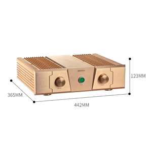 Reproduction de l'amplificateur suisse Dartzeel FM ACO <span class=keywords><strong>STICS</strong></span> FM300 150W 2.0 HIFI FM300A amplificateur de puissance Audio - Product Image 5