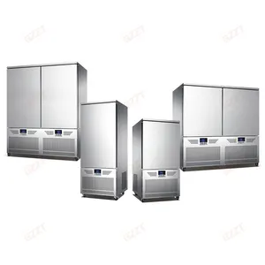 Personalizado Fácil de operar Italiano Blast Freezer Refrigeración por aire Baozi Dumpling Commercial Blast Chiller Industrial Blast Freezer