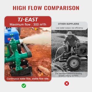 <span class=keywords><strong>Pompe</strong></span> à eau centrifuge pour moteur diesel, pour transfert de carburant et utilisation agricole à double <span class=keywords><strong>aspiration</strong></span> - Product Image 2