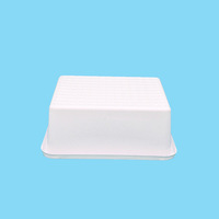 Medical-grade Recyclable Test Tube Plastic Box with Customizable Shape & Printing