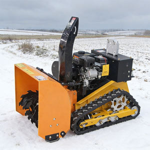 Tagliaerba Telecomandato Compatto con Accessorio Spazzaneve Invernale, Tosaerba a Benzina per Tutti i Terreni per Giardino e Cortile - Product Image 1