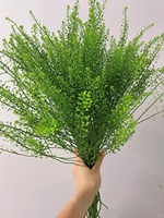 Feuillage de Lepidium vert fraîchement coupé de qualité supérieure pour la décoration de bouquets de mariage, vente en gros depuis Kunming
