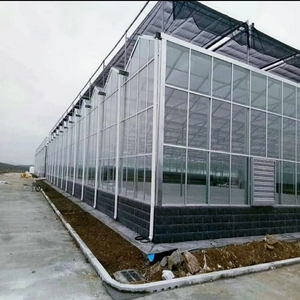 Serre Venlo en verre trempé isolé galvanisé à faible coût personnalisée cadre de gouttière en <span class=keywords><strong>acier</strong></span> serre connectée à vendre - Product Image 1