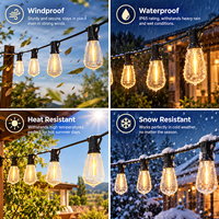 Lampu Hias Bentuk Bunga Shineu IP65 2700K Warm White, Tahan Angin, Tahan Air, Inti Tembaga LED, Dapat Disesuaikan, 100m, Natal