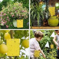 Insectenbestrijdingsgel vliegenvangers Eco Geel Waterdicht voor muggen boomgaard & moestuin ongediertebestrijding