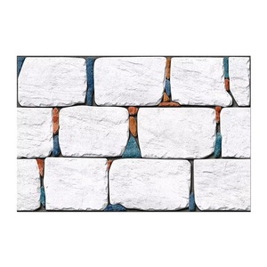 Carreaux muraux numériques en céramique durable avec revêtement résistant aux rayures pour des solutions de revêtement mural élégantes disponibles au prix d'exportation - Product Image 1