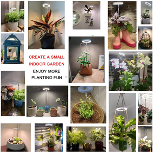 Lampe de <span class=keywords><strong>culture</strong></span> <span class=keywords><strong>LED</strong></span> pour plantes avec minuterie et variateur d'intensité, esthétique et pratique, pour <span class=keywords><strong>culture</strong></span> intérieure, plantation de fleurs, <span class=keywords><strong>culture</strong></span> de tissus - Product Image 4
