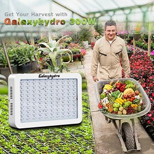 ไฟปลูกพืชแบบ Full Spectrum LED 1000W สำหรับพืชดอก พร้อมไดรเวอร์ Samsung และมาตรฐาน IP65 - Product Image 6
