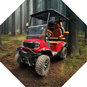 Carros de golf de caza eléctricos de 4 + 2 asientos legales de calle de plomo y litio de 72V a precio de fábrica - Product Image 4