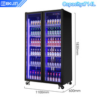 Congelador de Bebidas BoJin de Doble Puerta con Ventilador y Control Digital de Temperatura para Exhibición en Supermercados