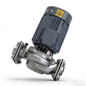 Pompe centrifuge Kawamoto Pss en acier inoxydable avec bride de 1 pouce, moteur électrique triphasé ACG - Product Image 3