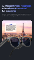 Fournisseur de lunettes intelligentes OEM ODM, lunettes de soleil audio, étui de charge sans fil, logo personnalisé, vente en gros, expédition mondiale