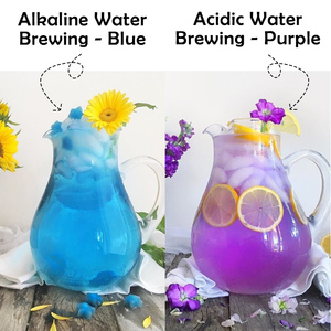 Té de Flor de Clitoria Ternatea Orgánico de Alta Calidad, Natural, de Marca Privada OEM, Bolsitas de Té de Flor de Clitoria Ternatea - Product Image 6