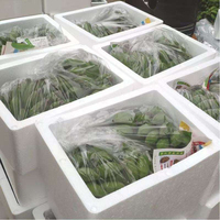 Emballage personnalisé en mousse EPS, faible MOQ, inserts en mousse moulés sur mesure et boîtes en mousse pour emballage de cadeaux électroniques, conception OEM