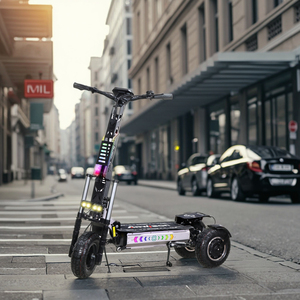 Arwibon MT30 Drop spedizione porta a porta all'ingrosso Scooter 13 pollici off Road Scooter elettrico <span class=keywords><strong>3</strong></span> <span class=keywords><strong>ruote</strong></span> a buon mercato per adulti - Product Image 1