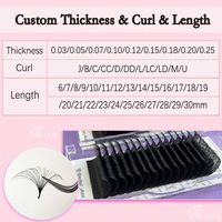 Pesta As Extensions de cils en vison premium super doux, noir jais velours, en plateaux, marque privée, très demandées