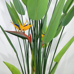 Nuovo <span class=keywords><strong>Design</strong></span> vero tocco morbido artificiale uccello del paradiso fiore decorazione per la casa di natale laurea pasqua e Halloween - Product Image 4