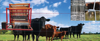 Máquina para Fabricar Mallas de Alambre Galvanizado para Cercas de Campos Agrícolas, para Protección de Ganado, Cabras y Ovejas