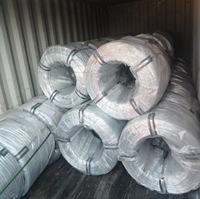 Fil de fer galvanisé 0,2 mm-20 mm, bobine de fil de fer électrogalvanisé pour la construction, les clôtures et le paillage