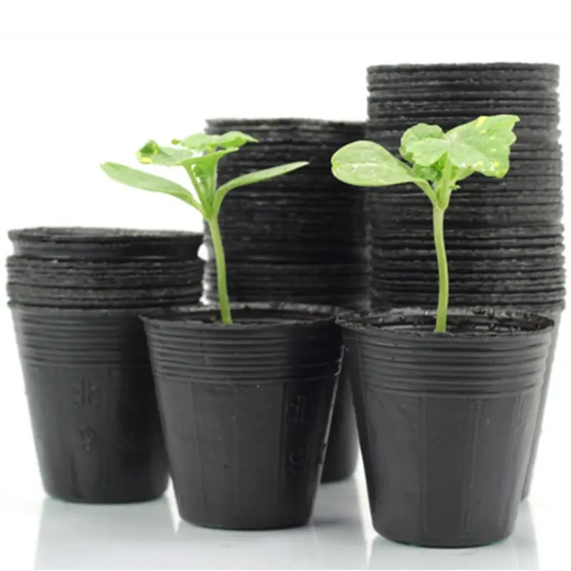 Venta al por mayor de plástico negro blister suave semillas de flor olla para suministros de jardín
