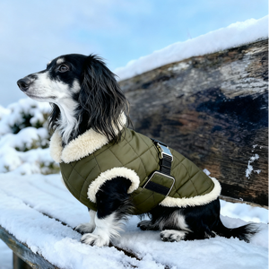 Luxury Winter All-Weather <strong>Dog</strong> Jacket Waterproof Puffer Pet <strong>Coat</strong> for Bassotto Wiener Dachshund Hamburg Teckel <strong>Sausage</strong> Polyester - Product Image 3
