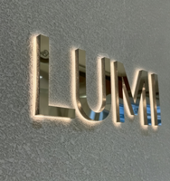 Lettres de signalisation en métal rétroéclairées par LED personnalisées, signalisation de magasin imperméable, signalisation de logo découpée au laser 3D pour la décoration de la salle d'entreprise, de l'adresse ou du bar