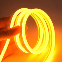 Bande lumineuse décorative LED flexible d'extérieur 6*12mm PVC blanc 2835 12V Bande lumineuse flexible Ampoule néon pour éclairage paysager