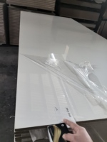 Panneau PET 1220*2440 18mm noir blanc super mat très brillant MDF PET pour meubles