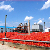 1 ~ 10 Ton/Uur Saus Tomatenketchup Maken Machine Pasta Productielijn Fruit Jam Maken Machine