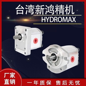 Pompe hydraulique Hsin Hung HGP-3A 6 11 14 17 23R 25 28 30R pour usage industriel - Product Image 5