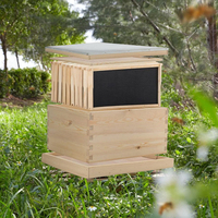 Einlagige Holz-Langstroth-Bienenstöcke für Imker Tiefe oder Mittlere Super-Bienenstockboxen