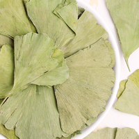 Feuilles de Ginkgo séchées de haute qualité Yin Xing thé à saveur séchée à vendre produit de soin sain aux herbes de Chine