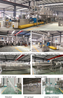 Línea de Producción Automática de Alimentos Secos y Húmedos para Perros, Gatos y Peces, con Extrusora de 1 tonelada/h, Maquinaria y Equipo PLC para Motor de Alta Potencia