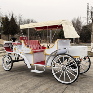 Calèche de Mariage Électrique Vintage ZOWN, 4 Roues, Blanc Pur, Couleur Personnalisable, Style Européen Tendance, 4-6 Personnes - Product Image 1