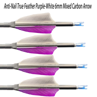 Flèches en carbone anti-crevaison True Feather Mix, conçues avec précision pour l'entraînement et la chasse, flèches pour arcs à poulies et arcs classiques