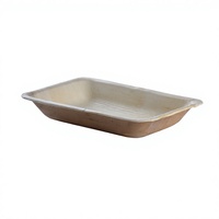 Barquette carrée jetable en feuille de palmier, très résistante, 8 pouces de profondeur, biodégradable, écologique, pour la restauration à emporter et usage occasionnel