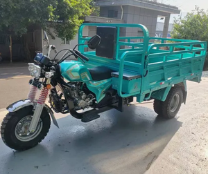 Triciclo <span class=keywords><strong>de</strong></span> <span class=keywords><strong>Carga</strong></span>, Motocicleta <span class=keywords><strong>de</strong></span> <span class=keywords><strong>Tres</strong></span> <span class=keywords><strong>Ruedas</strong></span>, Motocicleta <span class=keywords><strong>de</strong></span> Gasolina - Product Image 6