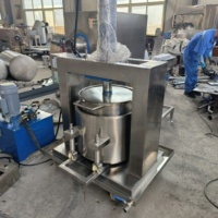 Industriële Koude Pers Juicer Extractor Machine Automatische Druivenwijn Apparatuur Hydraulische Vruchtensap Persmachine