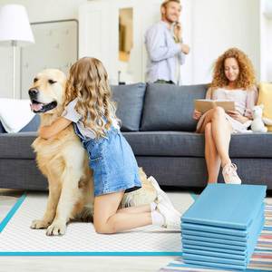 (33*45, 100 pièces) Coussinets absorbants jetables pour animaux de compagnie, couches d'apprentissage de la propreté en coton anti-fuites pour chiots et chiens - Product Image 2