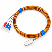 Sonde de température Pt100 à adsorption magnétique, tête de détection de surface, type patch d'aspiration, OEM, indice de protection IP65, garantie 1 an