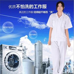 เสื้อเชิ้ตแขนยาวและแขนสั้น Zixi ZX2037 Shanghai Spot สำหรับงานมืออาชีพ ป้องกันภัย สำหรับผู้ชายและผู้หญิง กันน้ำ - Product Image 5