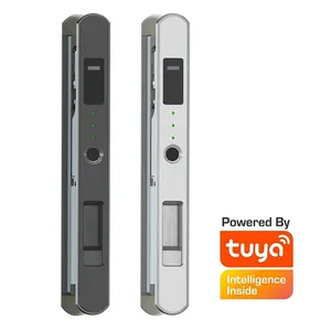 Serratura per porta sottile in alluminio Tuya con impronta digitale intelligente automatica Topteq per porte e finestre scorrevoli