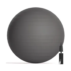 Chinesische Hersteller Fitness Übung benutzer definierte Logo drucken Anti Burst ungiftige Stabilität PVC 55cm Yoga Ball Großhandel