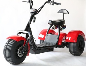 Nuovo Arrivo Scooter Elettrico a Tre Ruote ad Alta Velocità per Adulti Citycoco 2000w con Pedali Triciclo Elettrico - Product Image 3