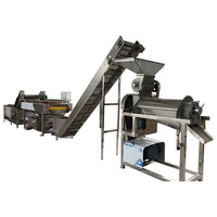 Ligne de jus de citron et d'agrumes de 0,5 à 5 tonnes par heure, machine à jus industrielle, traitement des fruits et légumes, système complet de jus naturel