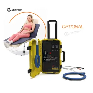 Portable Pemf Magnetic Therapy Device Pmst Loop Human Whole Body Pain Relief Machine Physical PEMF Mat