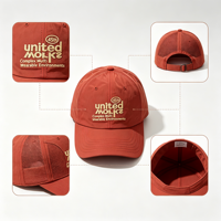Casquette de baseball coréenne tendance brodée à séchage rapide pour printemps-été, chapeau de soleil pour couple, chapeau de papa amincissant le visage