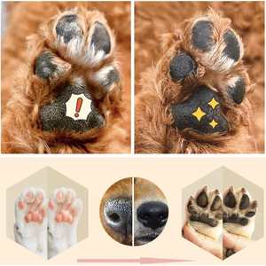 Bálsamo para Patas de Perros <span class=keywords><strong>y</strong></span> Gatos con Logotipo Personalizado, Seguro, de Plástico, Totalmente Natural, Diseño de Dibujos Animados, Hidratante <span class=keywords><strong>y</strong></span> Calmante para Patas, Nariz <span class=keywords><strong>y</strong></span> <span class=keywords><strong>Codos</strong></span> <span class=keywords><strong>Secos</strong></span> <span class=keywords><strong>y</strong></span> Agrietados - Product Image 2