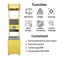 Système DWS statique avec machine de mesure de volume par capteur 3D pour convoyeur à bande extensible de colis