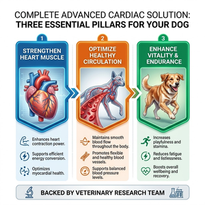 Gocce di Supporto Cardiaco con Estratto di Biancospino per il Ritmo Cardiaco di Cani con Rumori Cardiaci GMP ISO COA - Product Image 3